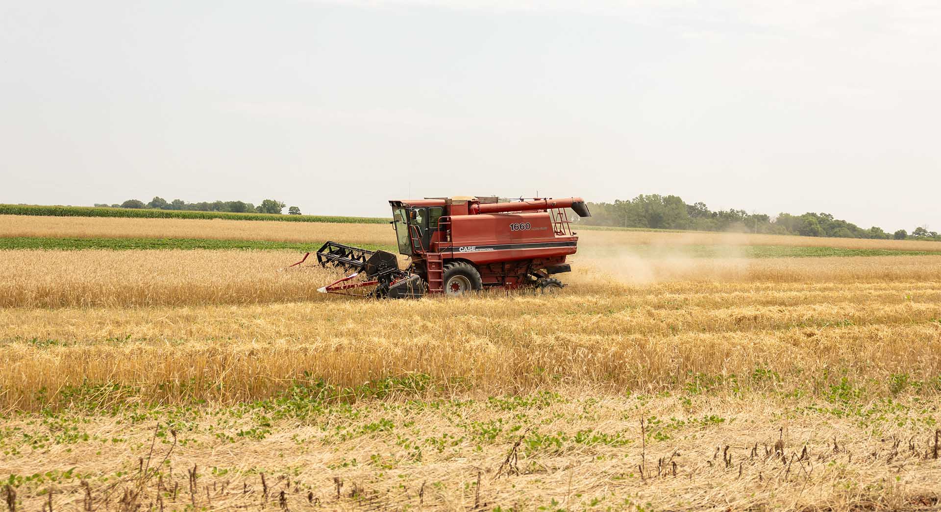 Combine in field with two crops