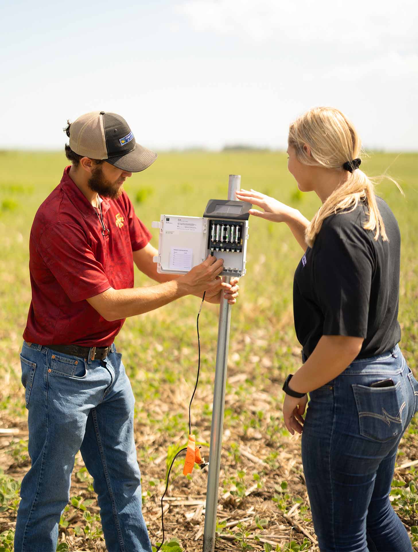 Researchers in soybean field