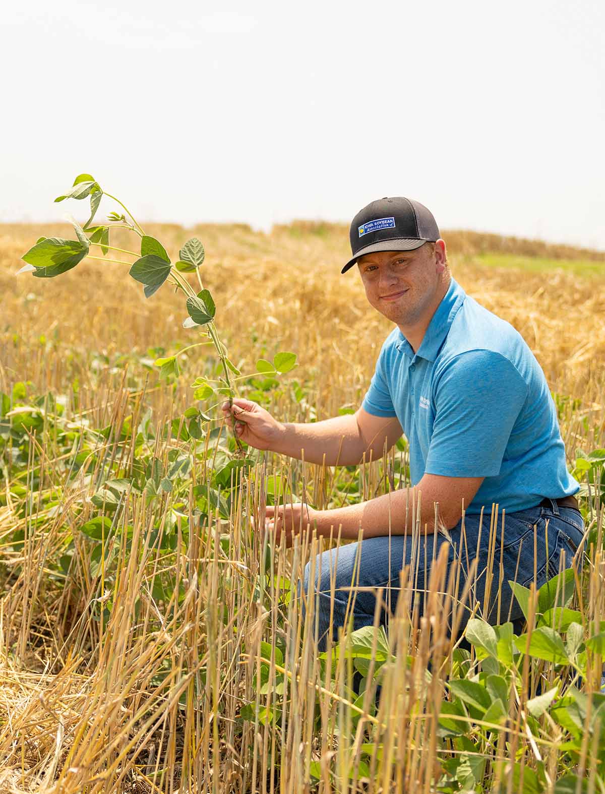 Iowa Soybean Intern in Field