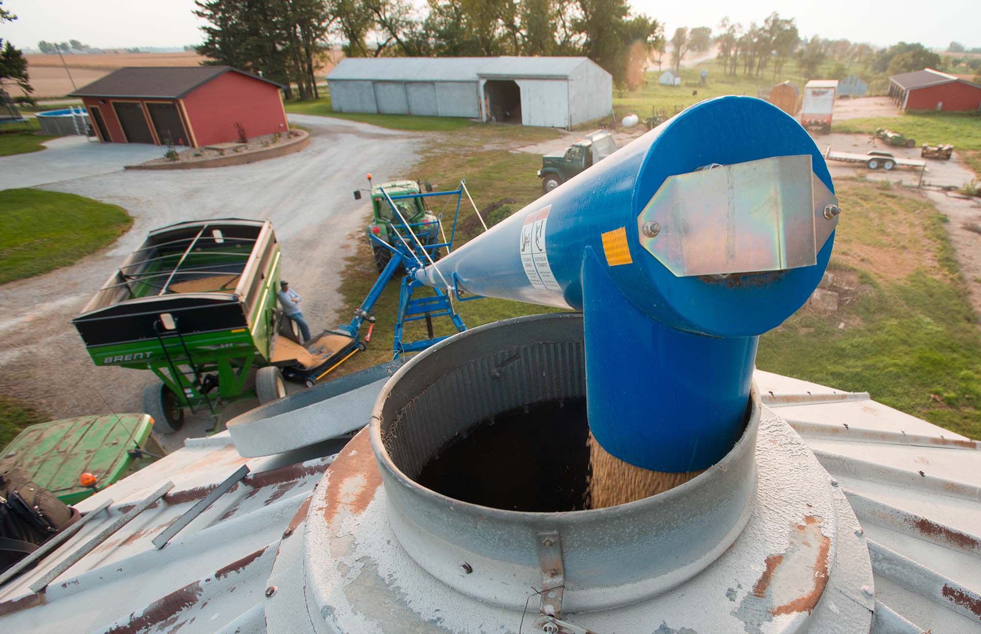 Auger unloading soybeans into grain bin