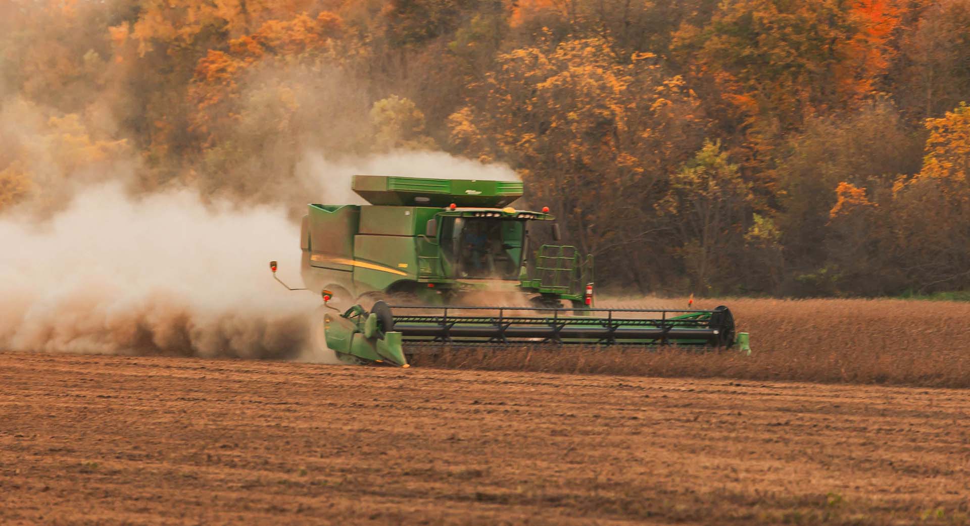 Combine harvesting soybeans