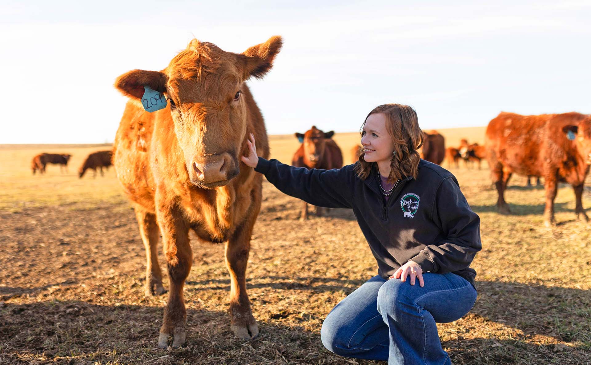 Farmer petting cow in Iowa