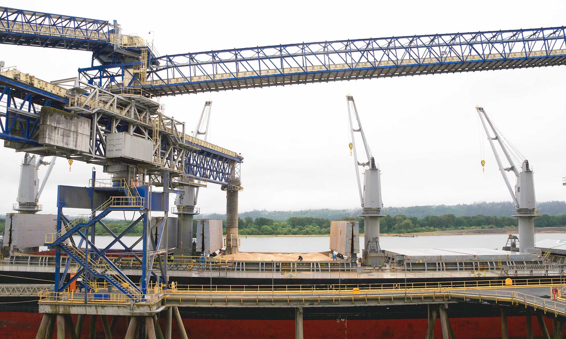 Soybeans transported in vessel