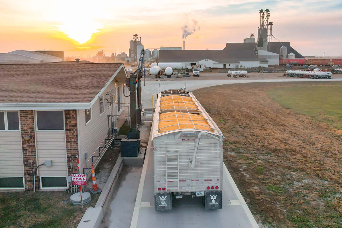 Unloading grain at cooperative