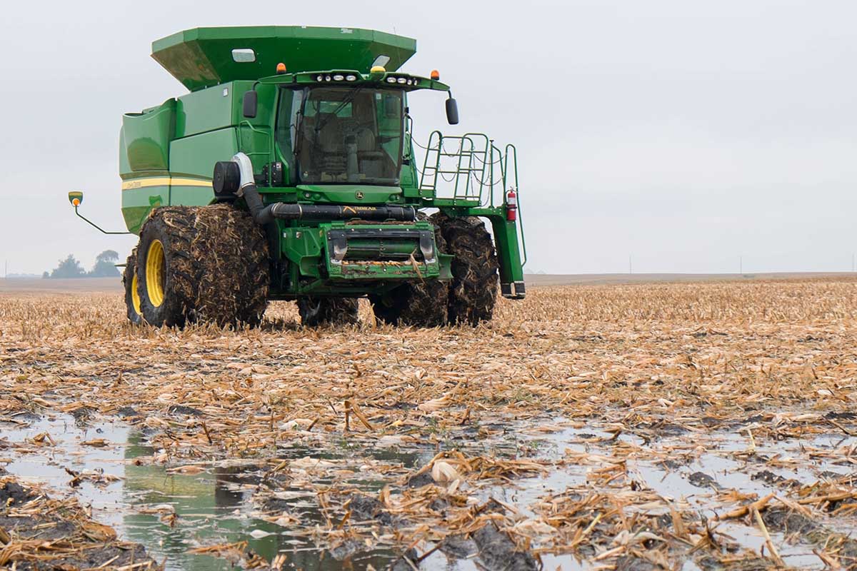 Soggy corn field after harvest