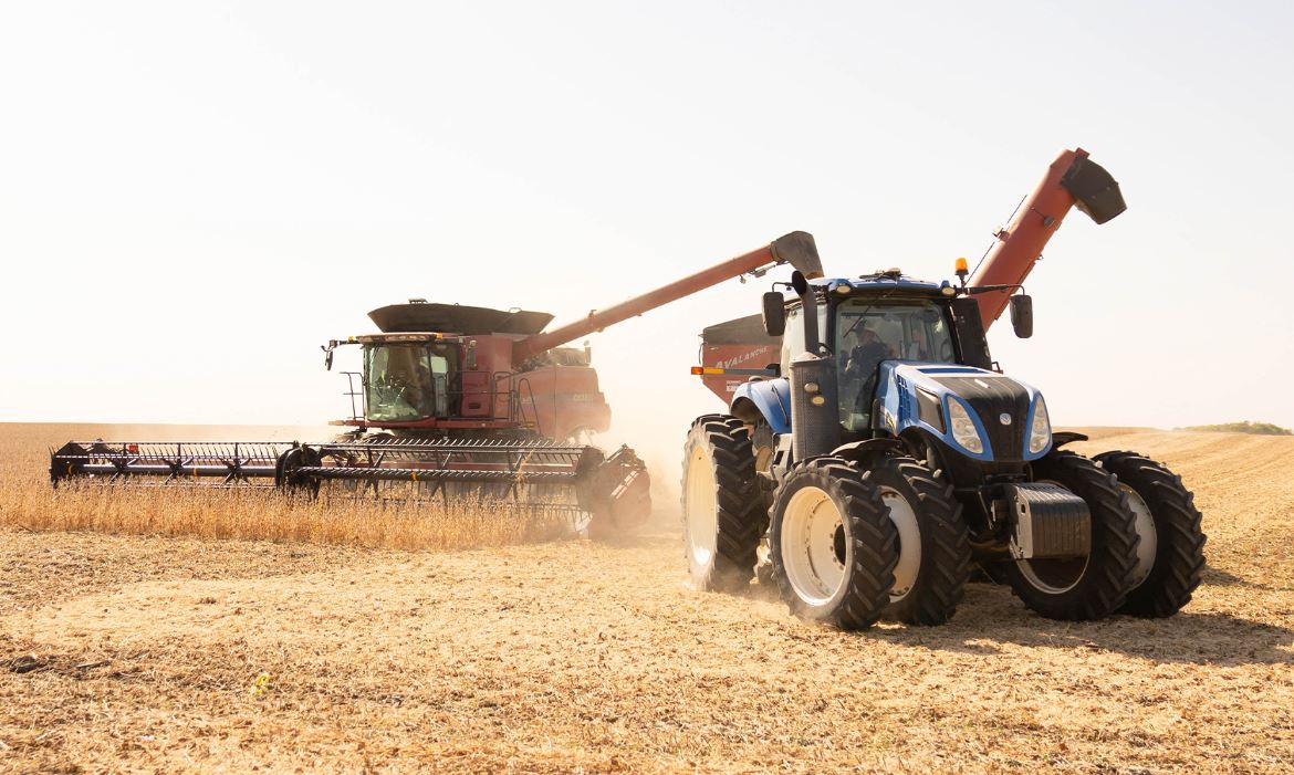 Soybean harvest in Iowa