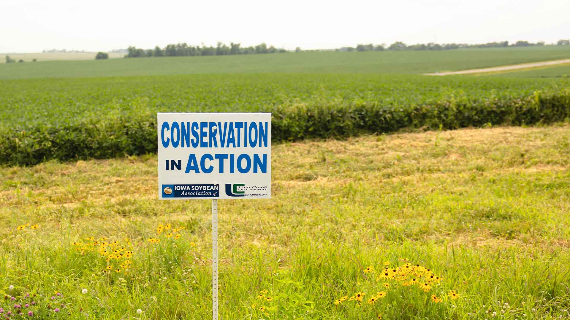 Sign with Linn Coop about conservation