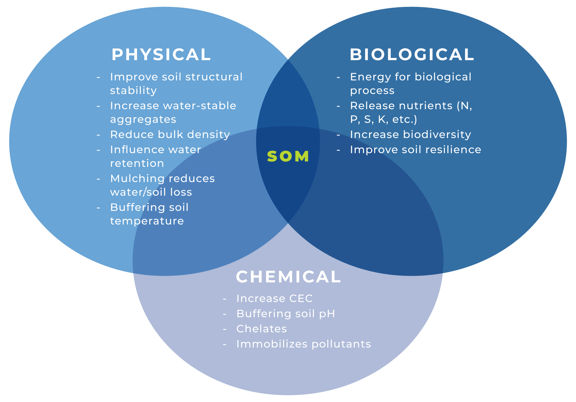 Venn Diagram