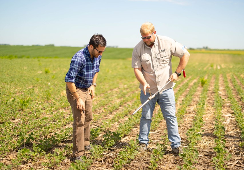 Researchers in soybean field