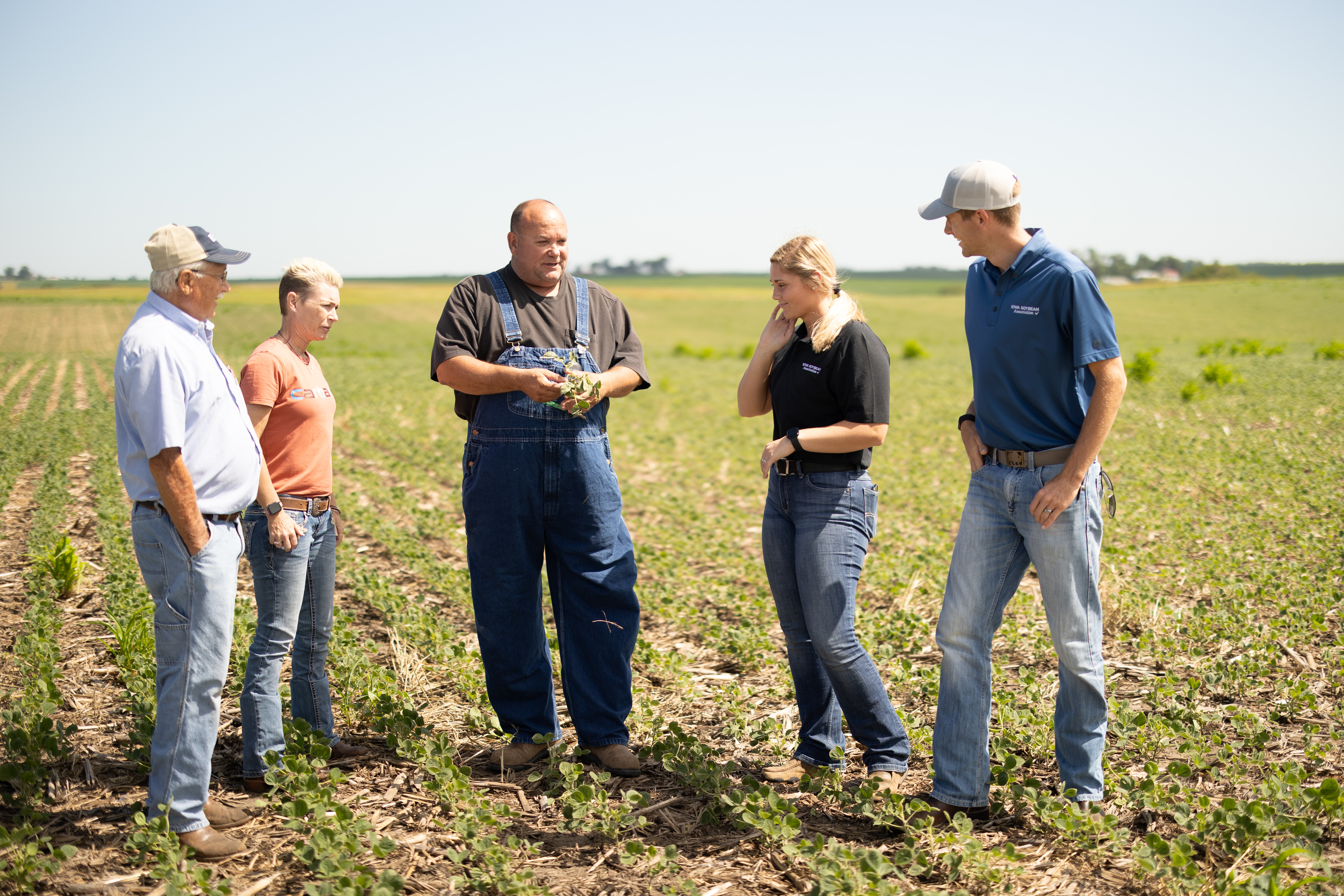 ISA seeking to work with crop advisors