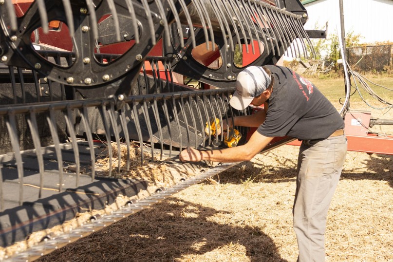 Farmer checking bean head