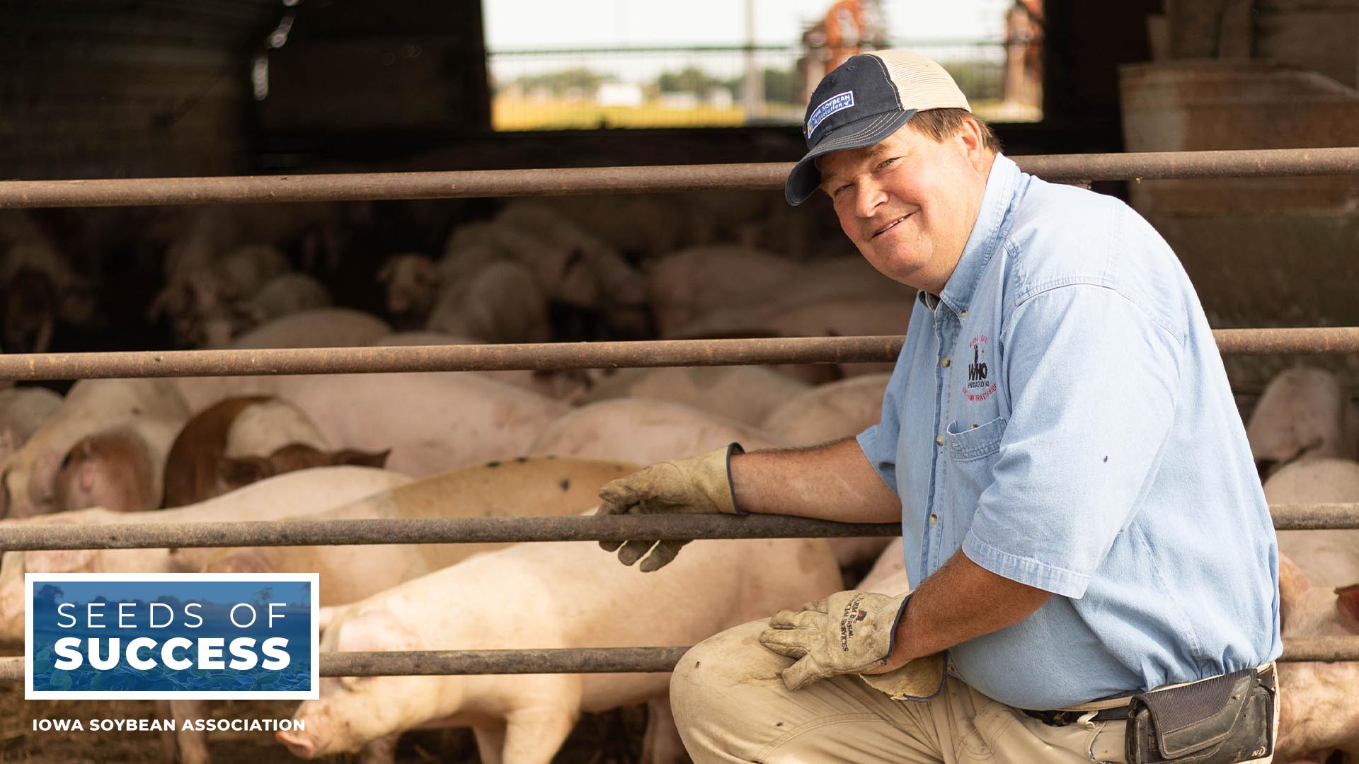 Iowa soybean and pork producer on farm