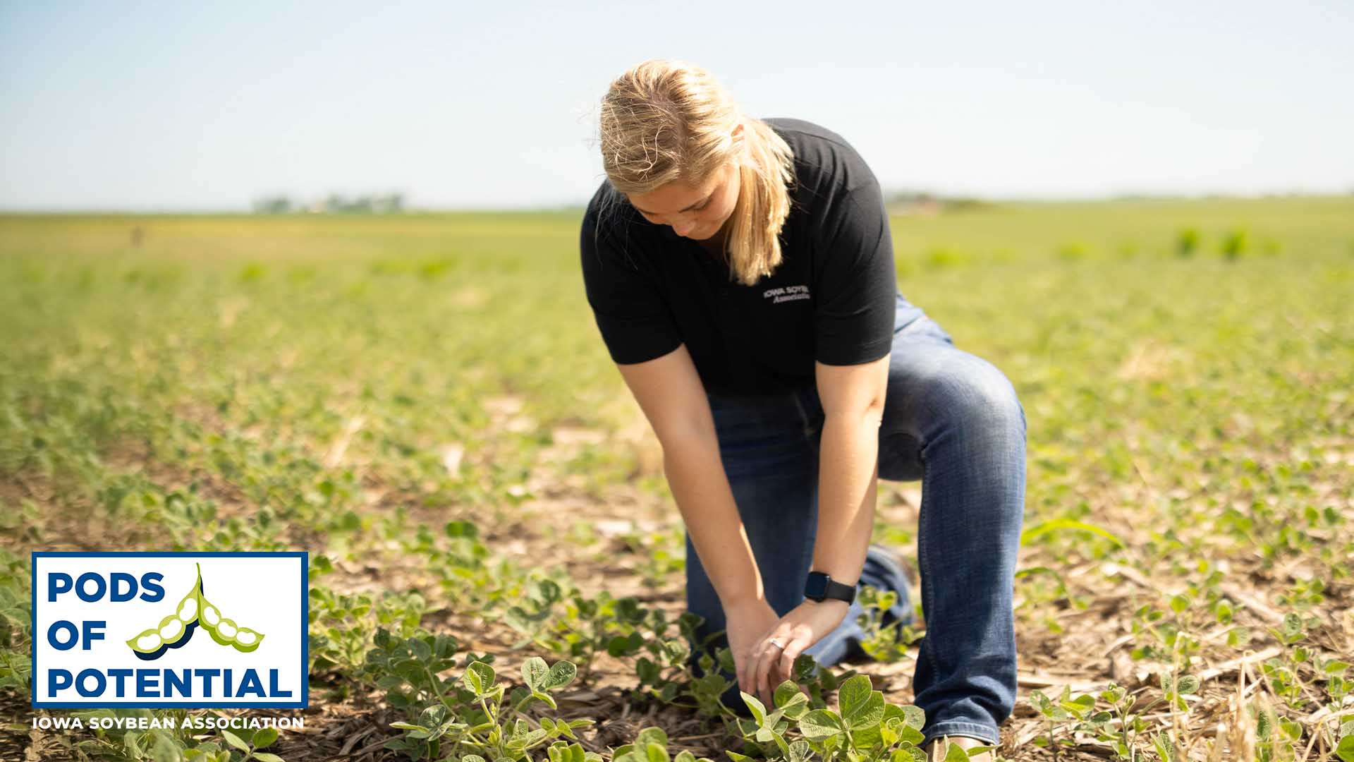 Agronomist in field of soybeans