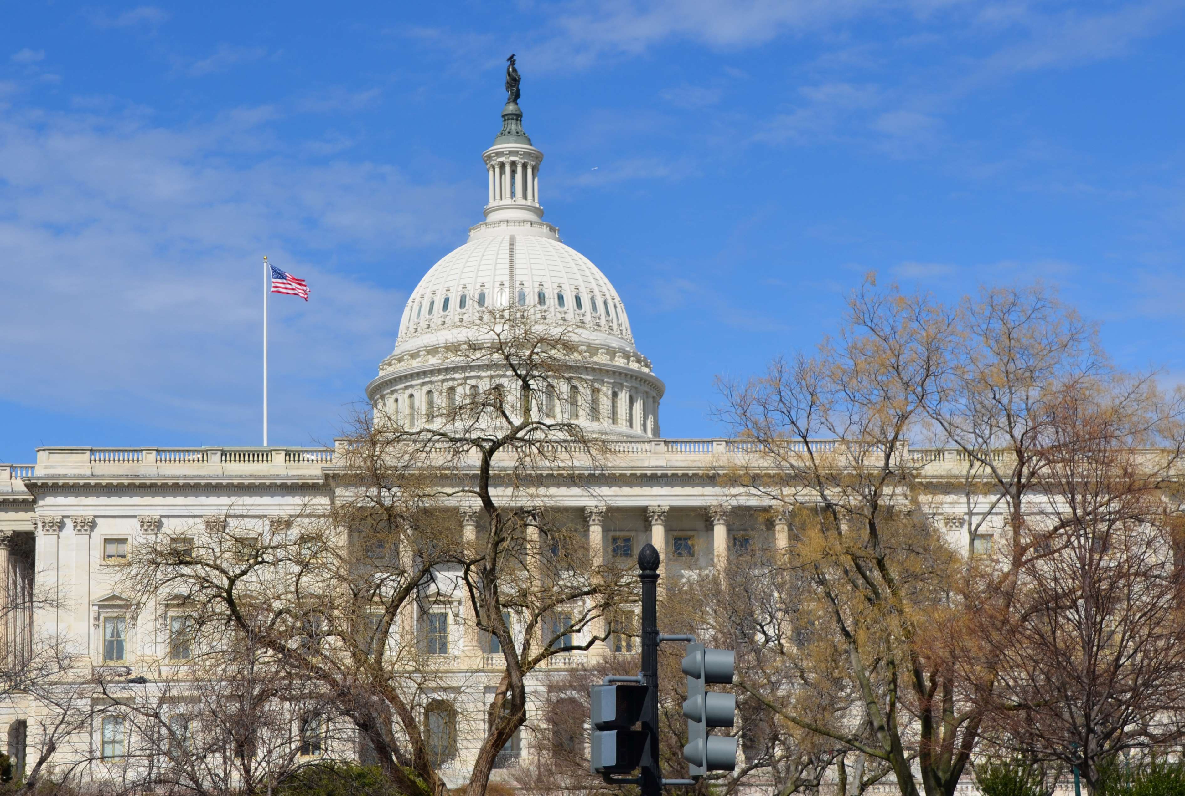 U.S. Capitol in Washington D.C.