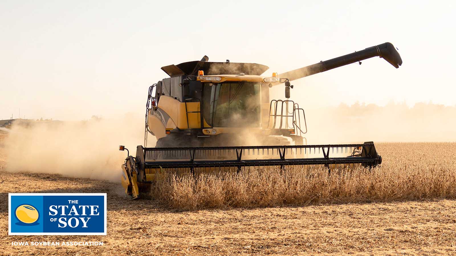 Yellow combine harvesting soybeans