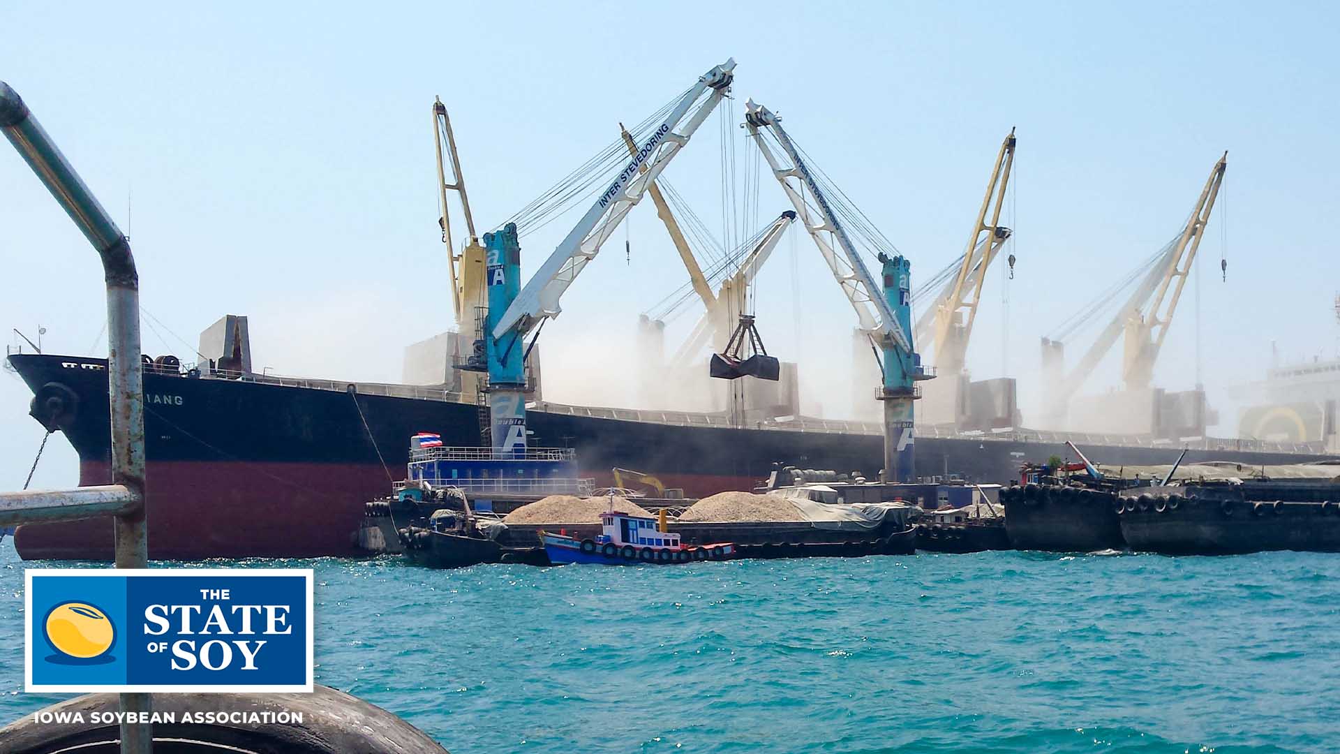 Unloading soybeans from a ship