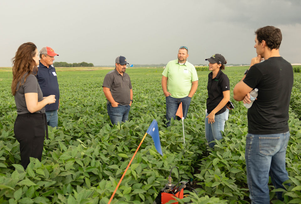 Farmers in field learning about research