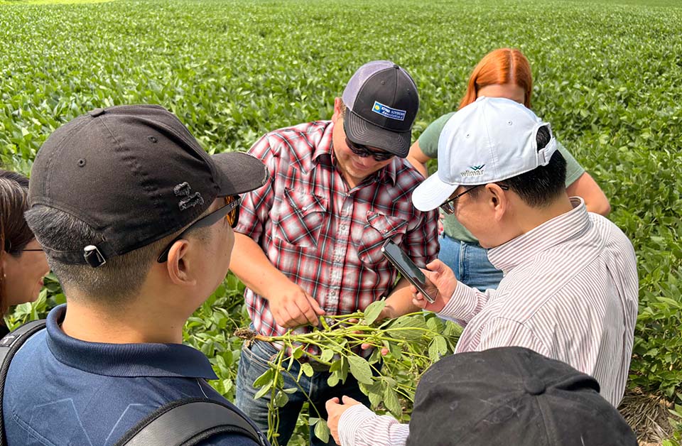 Iowa soybean grower