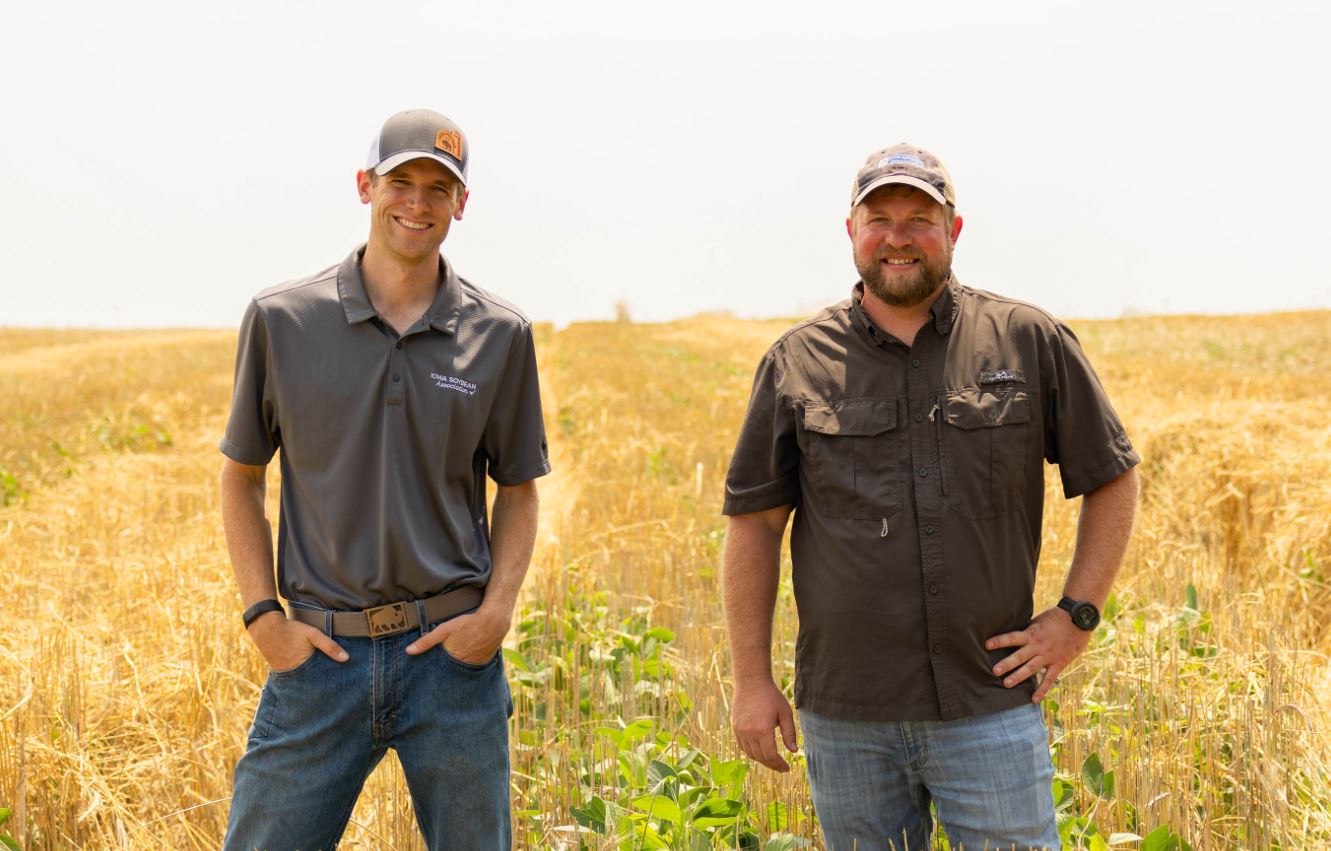 Two agronomists in relay cropped field